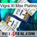 Vigra Xl Max Platinum 12